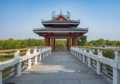 沙溝湖水杉公園