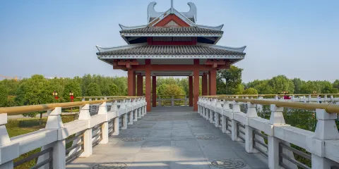 沙溝湖水杉公園