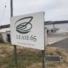 Lease 65 User Photo