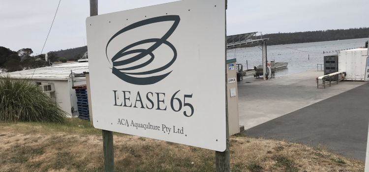 Lease 65