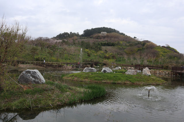 부산 3월 꽃구경 핫스팟