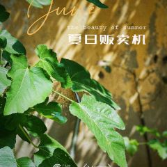吴家馄饨 User Photo