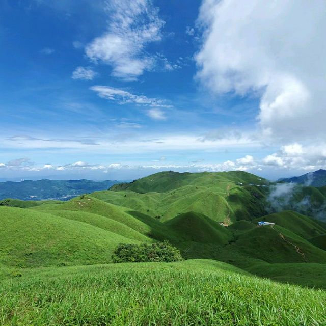 Perfect Meadows