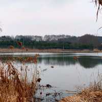 Attractive natural lake and park