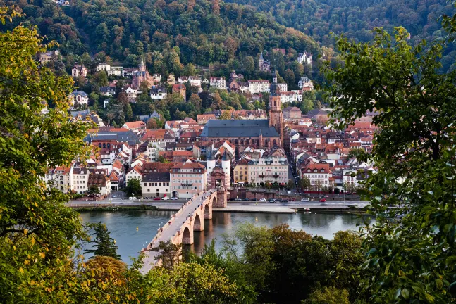 Hotels near Hopfenblick