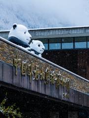 China Wolong Daxiongmao Museum