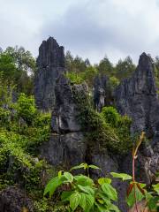 Nidang Stone Forest