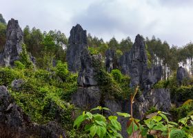 Các khách sạn gần Guizhou Dragon Fossil Point