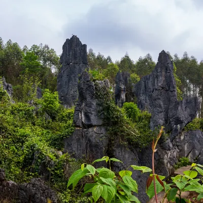 Flights from Xingyi to Xishuangbanna