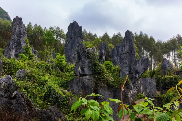 Xingyishilian Museum周辺のホテル