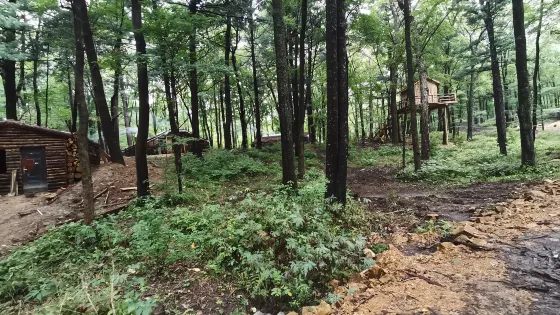 吉林舒蘭市森林公園