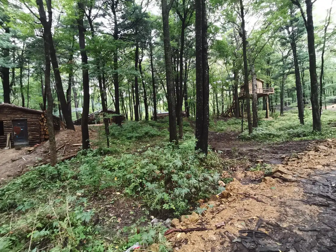 Hotels near Jilin Shulanshi Forest Park