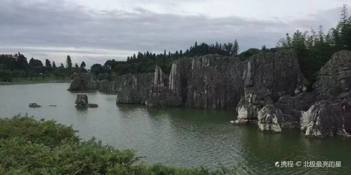Stone Forest