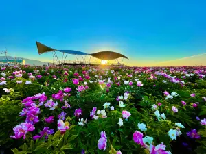 伊犁天山花海景區