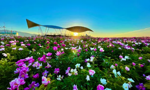 Yili Tianshan Huahai Scenic Area