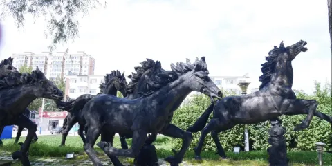 木蘭縣松花江國家濕地公園