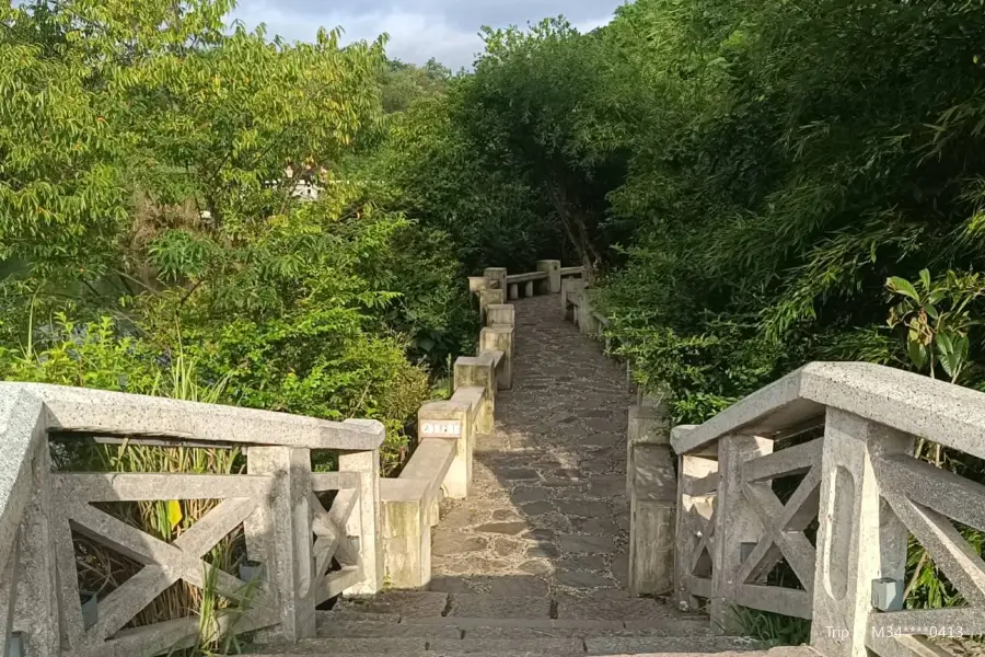 Pigeon Release Bridge