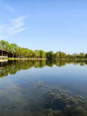 Huaxi Wetland Park