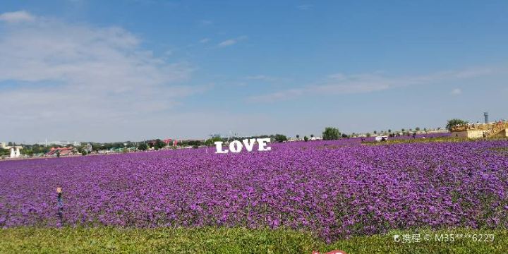 Lanzhou Zhongchuan Airport Lingang Flower Sea Ecological Zone