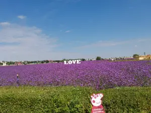 Lanzhou Zhongchuan Airport Lingang Flower Sea Ecological Zone