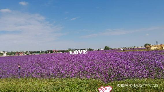 Lanzhou Zhongchuan Airport Lingang Flower Sea Ecological Zone