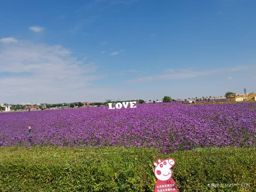 Lanzhou Zhongchuan Airport Lingang Flower Sea Ecological Zone