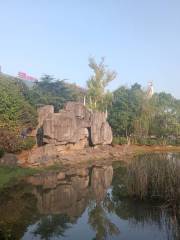 鄱陽湖公園-白天鵝公園