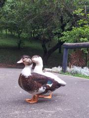 Parque Ecológico Dionísio Alvarez Mateos