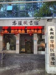 Yongzhoushi Linglingqu Library
