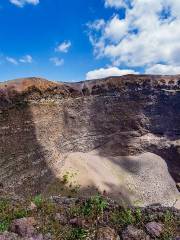 Vesuvio National Park