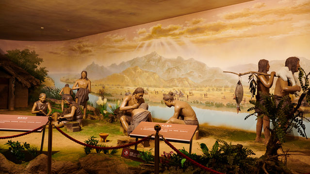 Dawenkou Site Museum