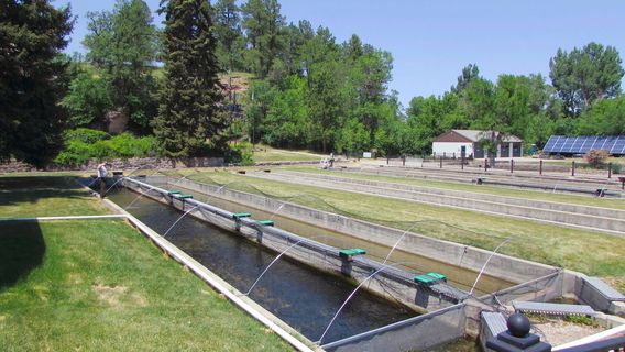 D.C. Booth Historic National Fish Hatchery & Archives