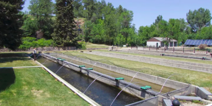 D.C. Booth Historic National Fish Hatchery & Archives
