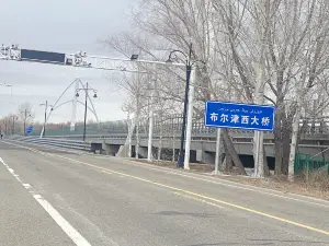 Bu'erjin West Bridge
