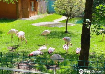 ZOO in Spišská Nová Ves