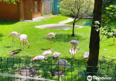 ZOO in Spišská Nová Ves