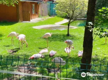 ZOO in Spišská Nová Ves