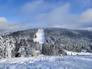 Bühlertallift Hundseck