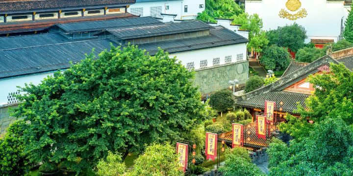 Luzhou Laojiao Tourist Area