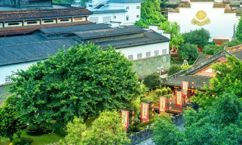 Luzhou Laojiao Tourist Area