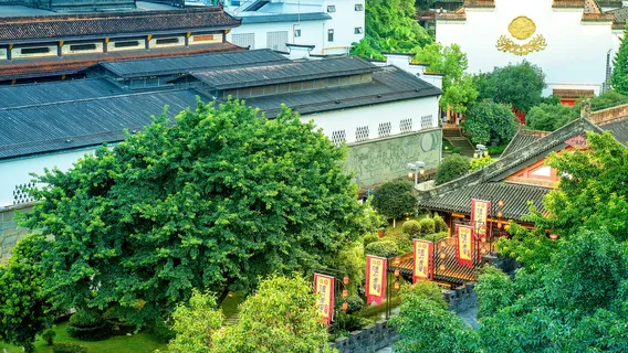 Luzhou Laojiao Tourist Area