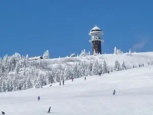 MonaYongPyong - Ski Resort