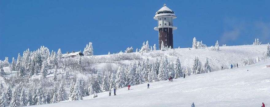 모나 용평 스키장