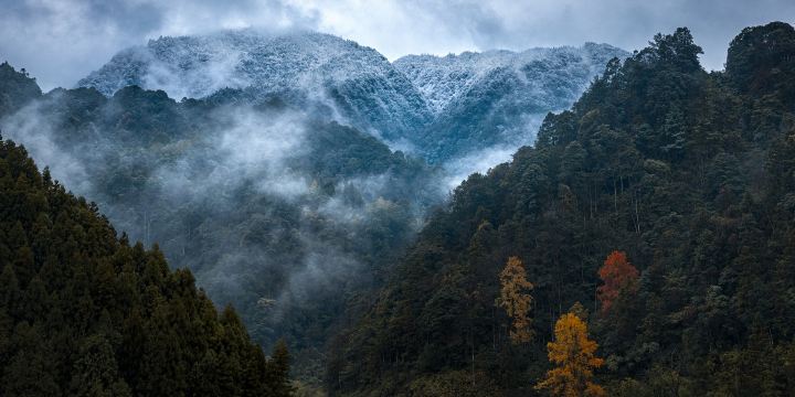 Huangjing Old Forest Tourist Resort