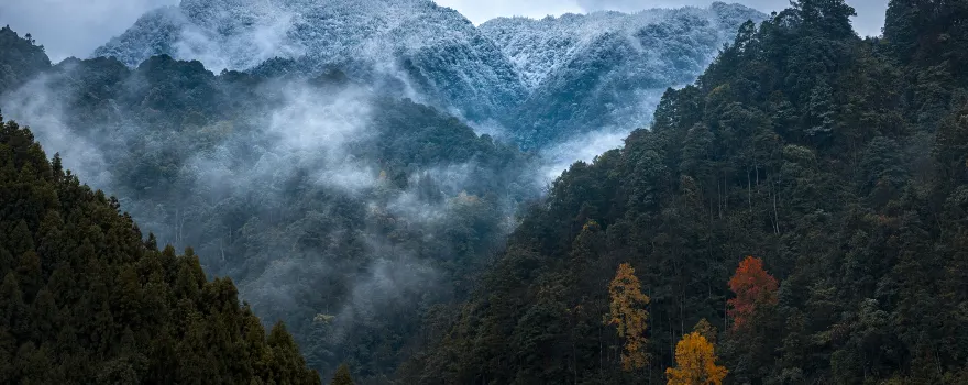 Huangjing Old Forest Tourist Resort