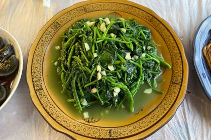 菜当家