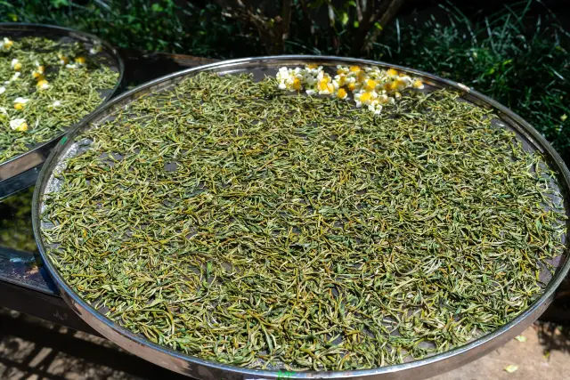 Tea Ceremony Experiences in Pu'er