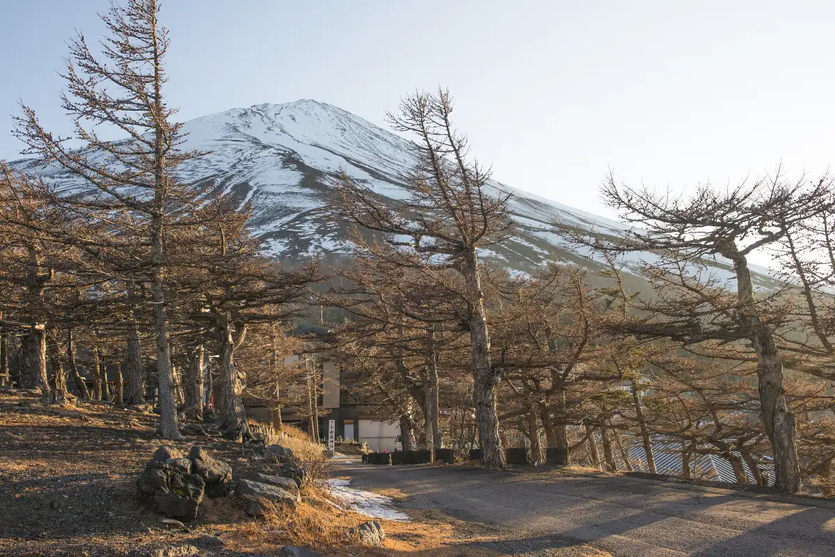 Fuji Subaru Line 5th Station