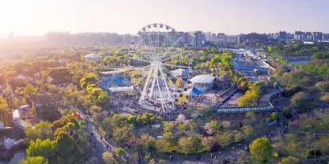 顧村公園