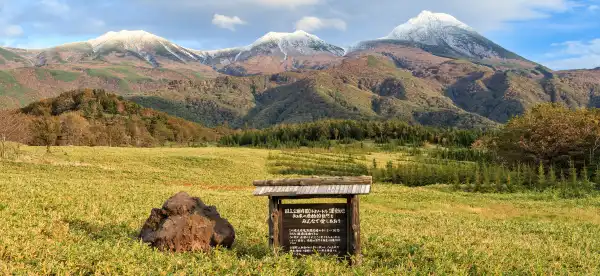 Shari